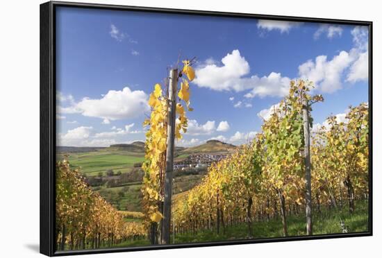 Vineyards in Autumn, Oberstenfeld, Ludwigsburg District, Baden Wurttemberg, Germany, Europe-Markus-Framed Photographic Print