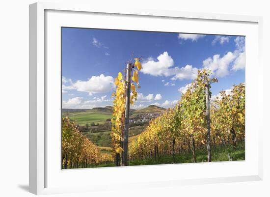 Vineyards in Autumn, Oberstenfeld, Ludwigsburg District, Baden Wurttemberg, Germany, Europe-Markus-Framed Photographic Print