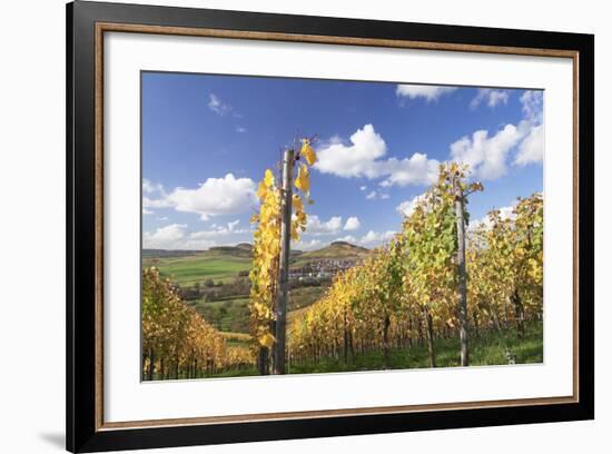 Vineyards in Autumn, Oberstenfeld, Ludwigsburg District, Baden Wurttemberg, Germany, Europe-Markus-Framed Photographic Print