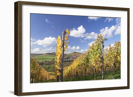 Vineyards in Autumn, Oberstenfeld, Ludwigsburg District, Baden Wurttemberg, Germany, Europe-Markus-Framed Photographic Print