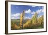 Vineyards in Autumn, Oberstenfeld, Ludwigsburg District, Baden Wurttemberg, Germany, Europe-Markus-Framed Photographic Print