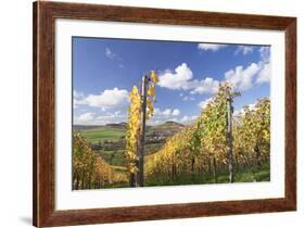 Vineyards in Autumn, Oberstenfeld, Ludwigsburg District, Baden Wurttemberg, Germany, Europe-Markus-Framed Photographic Print