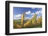 Vineyards in Autumn, Oberstenfeld, Ludwigsburg District, Baden Wurttemberg, Germany, Europe-Markus-Framed Photographic Print