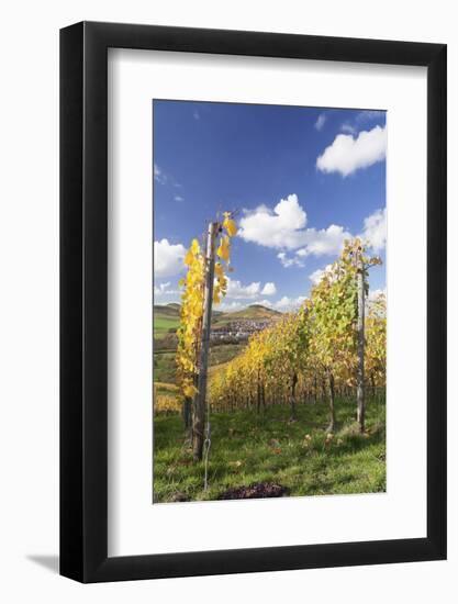 Vineyards in Autumn, Oberstenfeld, Ludwigsburg District, Baden Wurttemberg, Germany, Europe-Markus-Framed Photographic Print