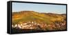 Vineyards in Autumn, Uhlbach, Stuttgart, Baden-Wurttemberg, Germany-null-Framed Stretched Canvas