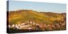 Vineyards in Autumn, Uhlbach, Stuttgart, Baden-Wurttemberg, Germany-null-Stretched Canvas