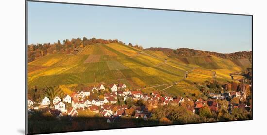 Vineyards in Autumn, Uhlbach, Stuttgart, Baden-Wurttemberg, Germany-null-Mounted Photographic Print