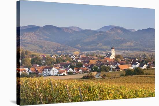 Vineyards in Autumn-Markus-Stretched Canvas