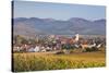 Vineyards in Autumn-Markus-Stretched Canvas