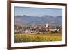 Vineyards in Autumn-Markus-Framed Photographic Print