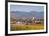 Vineyards in Autumn-Markus-Framed Photographic Print