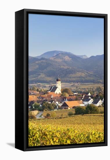 Vineyards in Autumn-Markus-Framed Stretched Canvas