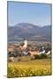 Vineyards in Autumn-Markus-Mounted Photographic Print