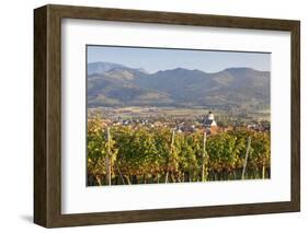 Vineyards in Autumn-Markus-Framed Photographic Print