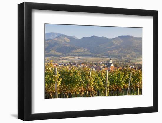 Vineyards in Autumn-Markus-Framed Photographic Print