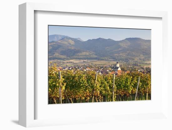 Vineyards in Autumn-Markus-Framed Photographic Print