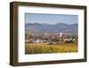 Vineyards in Autumn-Markus-Framed Photographic Print