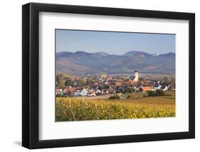 Vineyards in Autumn-Markus-Framed Photographic Print