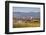 Vineyards in Autumn-Markus-Framed Photographic Print