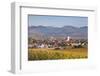 Vineyards in Autumn-Markus-Framed Photographic Print