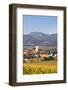 Vineyards in Autumn-Markus-Framed Photographic Print