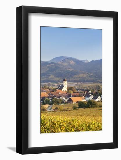 Vineyards in Autumn-Markus-Framed Photographic Print