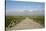 Vineyards in Cafayate, Valles Calchaquies, Salta Province, Argentina, South America-Yadid Levy-Stretched Canvas