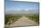 Vineyards in Cafayate, Valles Calchaquies, Salta Province, Argentina, South America-Yadid Levy-Mounted Photographic Print