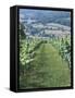 Vineyards in Countryside Near Saint Jean Pied De Port, Basque Country, Aquitaine, France-Robert Harding-Framed Stretched Canvas