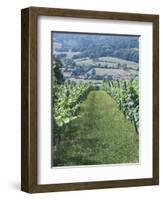 Vineyards in Countryside Near Saint Jean Pied De Port, Basque Country, Aquitaine, France-Robert Harding-Framed Photographic Print