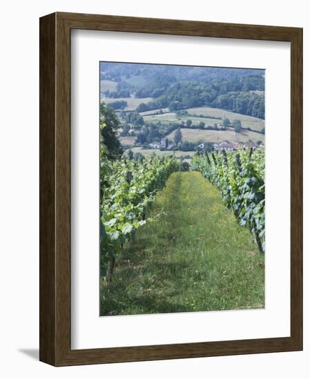 Vineyards in Countryside Near Saint Jean Pied De Port, Basque Country, Aquitaine, France-Robert Harding-Framed Photographic Print