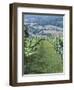 Vineyards in Countryside Near Saint Jean Pied De Port, Basque Country, Aquitaine, France-Robert Harding-Framed Photographic Print