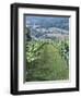 Vineyards in Countryside Near Saint Jean Pied De Port, Basque Country, Aquitaine, France-Robert Harding-Framed Photographic Print