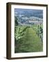 Vineyards in Countryside Near Saint Jean Pied De Port, Basque Country, Aquitaine, France-Robert Harding-Framed Photographic Print