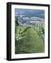 Vineyards in Countryside Near Saint Jean Pied De Port, Basque Country, Aquitaine, France-Robert Harding-Framed Photographic Print