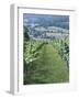 Vineyards in Countryside Near Saint Jean Pied De Port, Basque Country, Aquitaine, France-Robert Harding-Framed Photographic Print