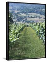 Vineyards in Countryside Near Saint Jean Pied De Port, Basque Country, Aquitaine, France-Robert Harding-Framed Photographic Print