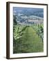 Vineyards in Countryside Near Saint Jean Pied De Port, Basque Country, Aquitaine, France-Robert Harding-Framed Photographic Print