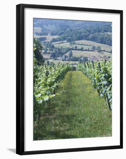 Vineyards in Countryside Near Saint Jean Pied De Port, Basque Country, Aquitaine, France-Robert Harding-Framed Photographic Print