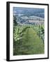 Vineyards in Countryside Near Saint Jean Pied De Port, Basque Country, Aquitaine, France-Robert Harding-Framed Photographic Print