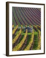 Vineyards in Fall in the Hautes-Cotes of Burgundy-Hans Strand-Framed Photographic Print