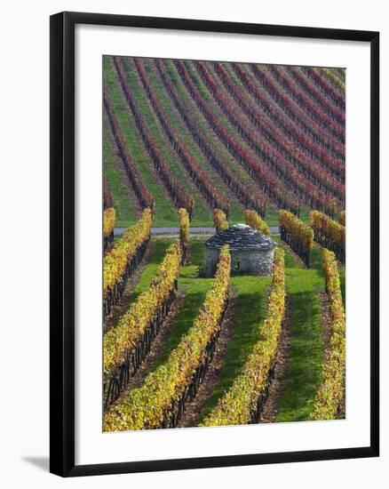 Vineyards in Fall in the Hautes-Cotes of Burgundy-Hans Strand-Framed Photographic Print