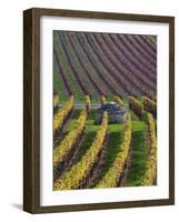 Vineyards in Fall in the Hautes-Cotes of Burgundy-Hans Strand-Framed Photographic Print