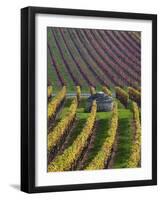 Vineyards in Fall in the Hautes-Cotes of Burgundy-Hans Strand-Framed Photographic Print