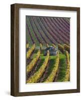 Vineyards in Fall in the Hautes-Cotes of Burgundy-Hans Strand-Framed Photographic Print