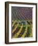 Vineyards in Fall in the Hautes-Cotes of Burgundy-Hans Strand-Framed Photographic Print