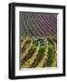 Vineyards in Fall in the Hautes-Cotes of Burgundy-Hans Strand-Framed Photographic Print