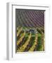 Vineyards in Fall in the Hautes-Cotes of Burgundy-Hans Strand-Framed Photographic Print