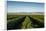 Vineyards in San Joaquin Valley, California, United States of America, North America-Yadid Levy-Framed Photographic Print