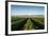 Vineyards in San Joaquin Valley, California, United States of America, North America-Yadid Levy-Framed Photographic Print